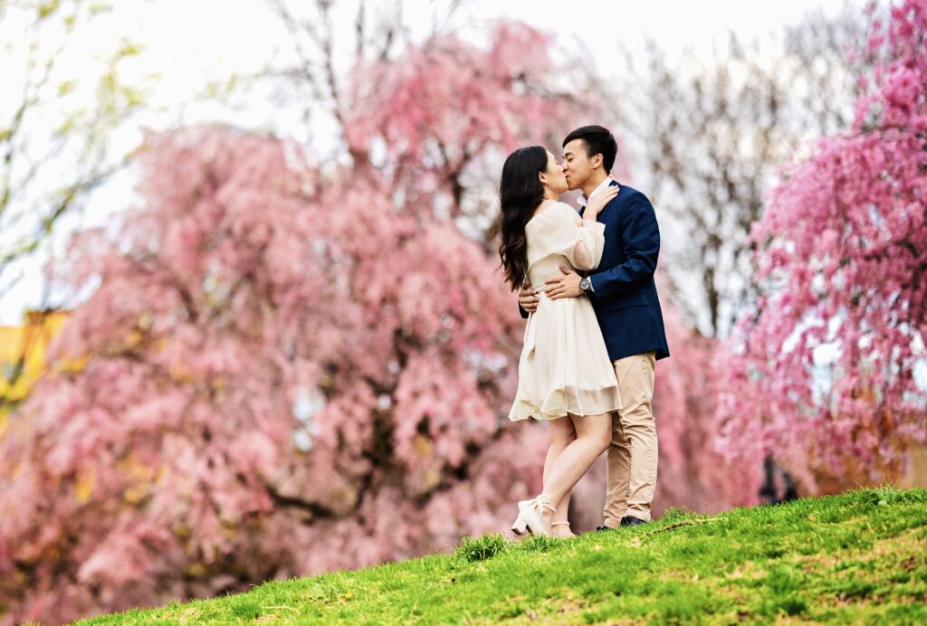Engagement photography