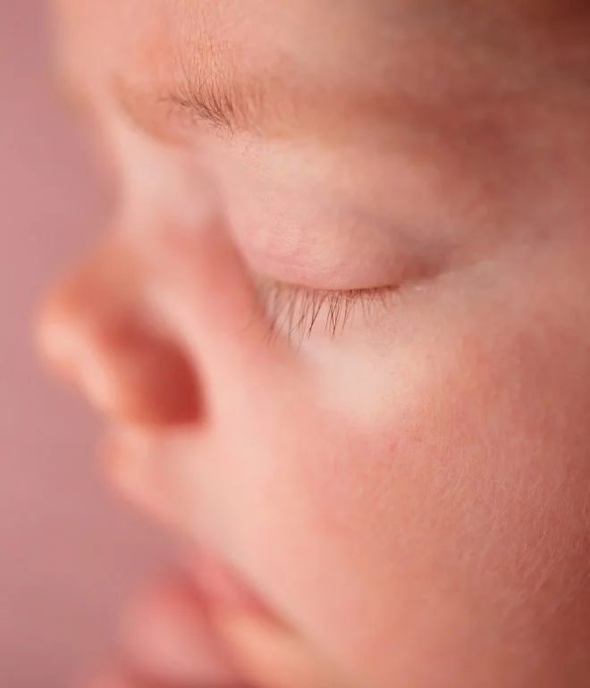 Newborn Portfolio photograph 3